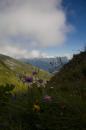 nature alpine 030 * 2912 x 4368 * (4.75MB)